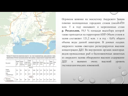 Огромное влияние на экосистему Амурского Залива помимо неочищенных городских стоков (около