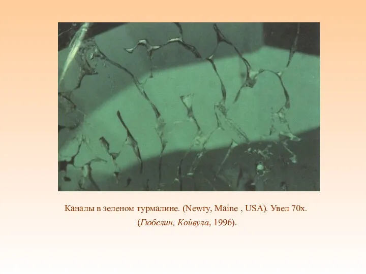 Каналы в зеленом турмалине. (Newry, Maine , USA). Увел 70x. (Гюбелин, Койвула, 1996).