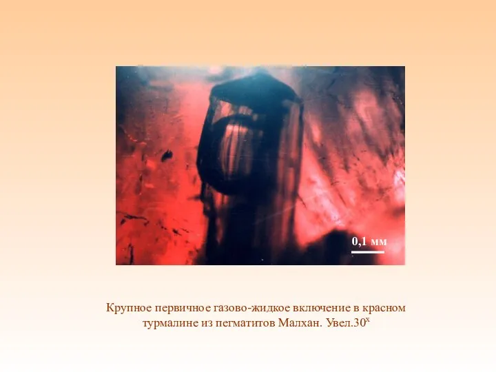 Крупное первичное газово-жидкое включение в красном турмалине из пегматитов Малхан. Увел.30х 0,1 мм