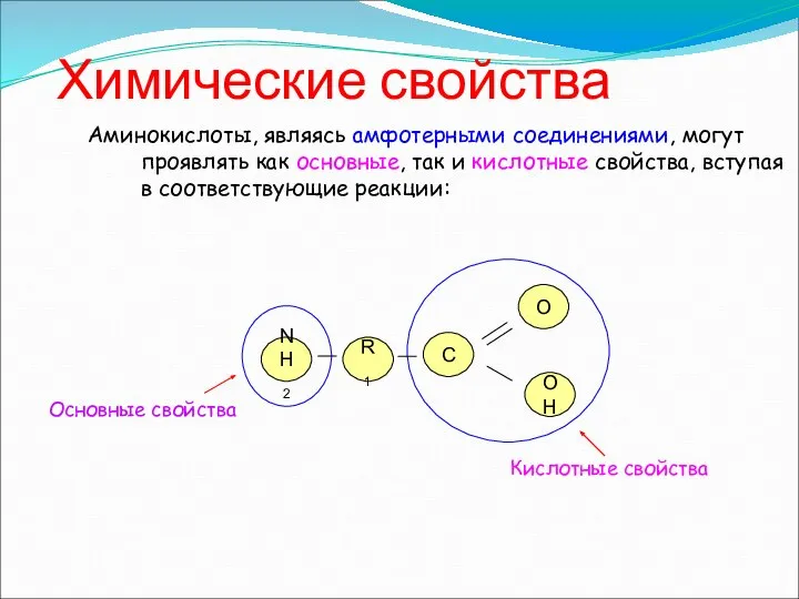 Химические свойства Аминокислоты, являясь амфотерными соединениями, могут проявлять как основные, так