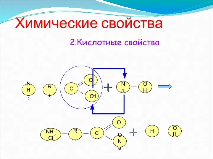 Химические свойства NH2 R1 О O C NH3Cl R1 О ONa