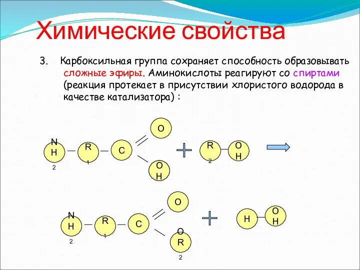 Химические свойства 3. Карбоксильная группа сохраняет способность образовывать сложные эфиры. Аминокислоты