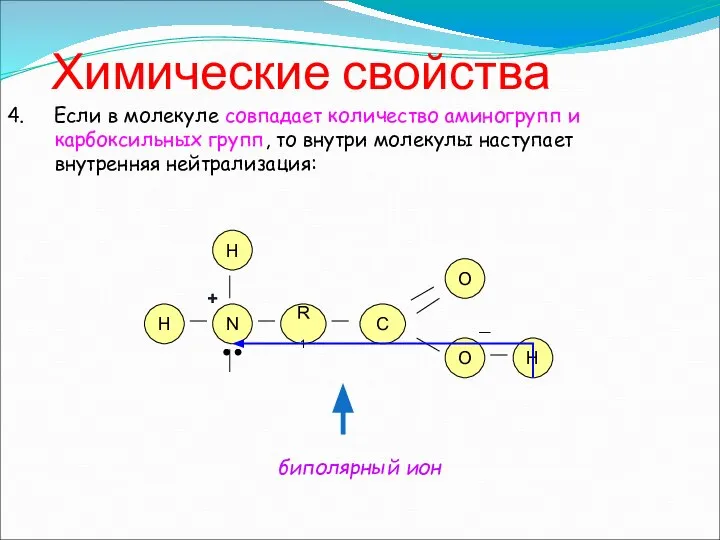 Химические свойства 4. Если в молекуле совпадает количество аминогрупп и карбоксильных