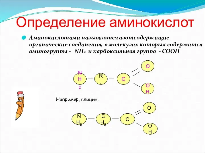 Определение аминокислот Аминокислотами называются азотсодержащие органические соединения, в молекулах которых содержатся