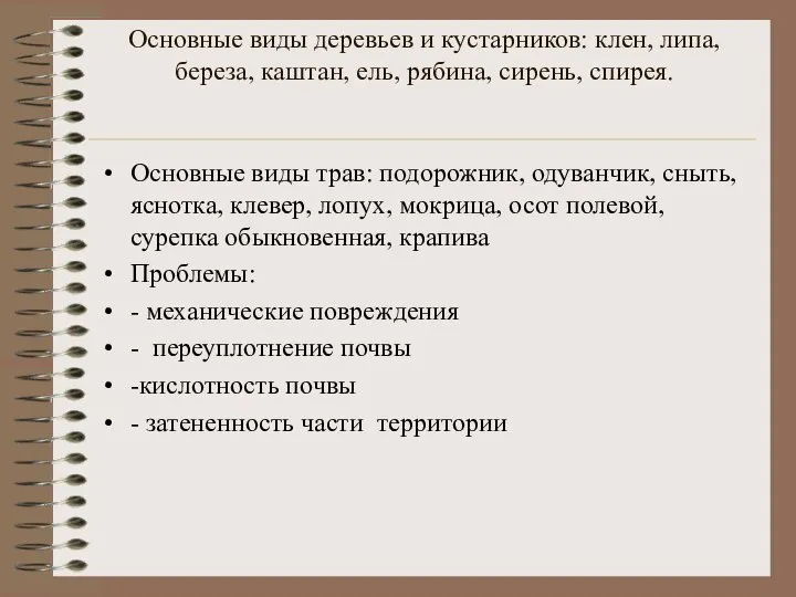 Основные виды деревьев и кустарников: клен, липа, береза, каштан, ель, рябина,