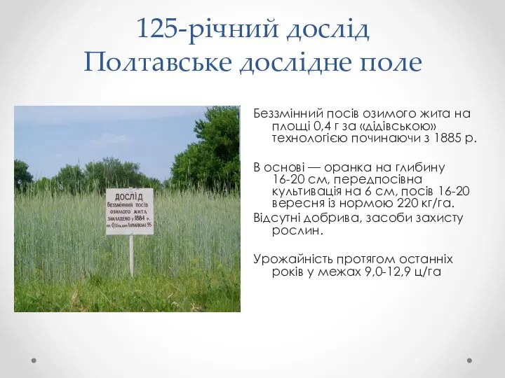 125-річний дослід Полтавське дослідне поле Беззмінний посів озимого жита на площі