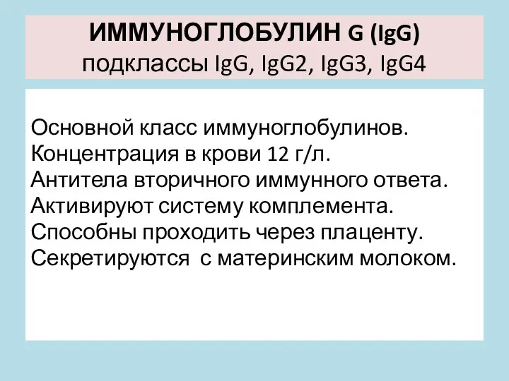 ИММУНОГЛОБУЛИН G (IgG) подклассы IgG, IgG2, IgG3, IgG4 Основной класс иммуноглобулинов.