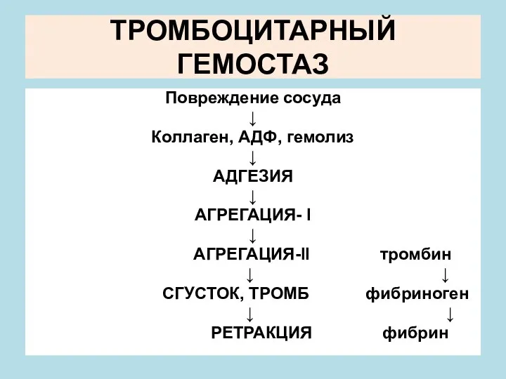 ТРОМБОЦИТАРНЫЙ ГЕМОСТАЗ Повреждение сосуда ↓ Коллаген, АДФ, гемолиз ↓ АДГЕЗИЯ ↓