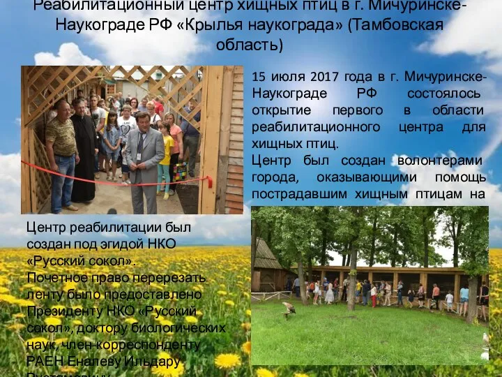 Реабилитационный центр хищных птиц в г. Мичуринске-Наукограде РФ «Крылья наукограда» (Тамбовская