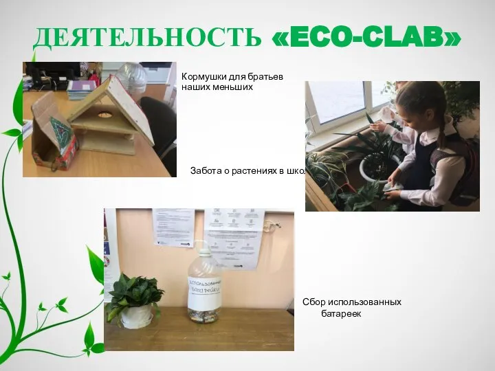 ДЕЯТЕЛЬНОСТЬ «ECO-CLAB» Забота о растениях в школе Кормушки для братьев наших меньших Сбор использованных батареек