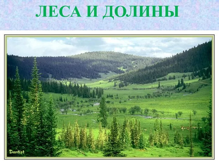 ЛЕСА И ДОЛИНЫ