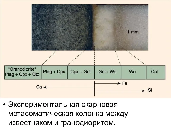 Экспериментальная скарновая метасоматическая колонка между известняком и гранодиоритом.