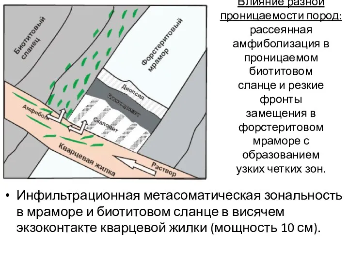 Влияние разной проницаемости пород: рассеянная амфиболизация в проницаемом биотитовом сланце и