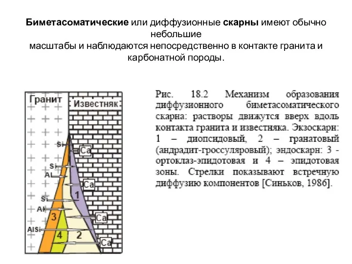 Биметасоматические или диффузионные скарны имеют обычно небольшие масштабы и наблюдаются непосредственно