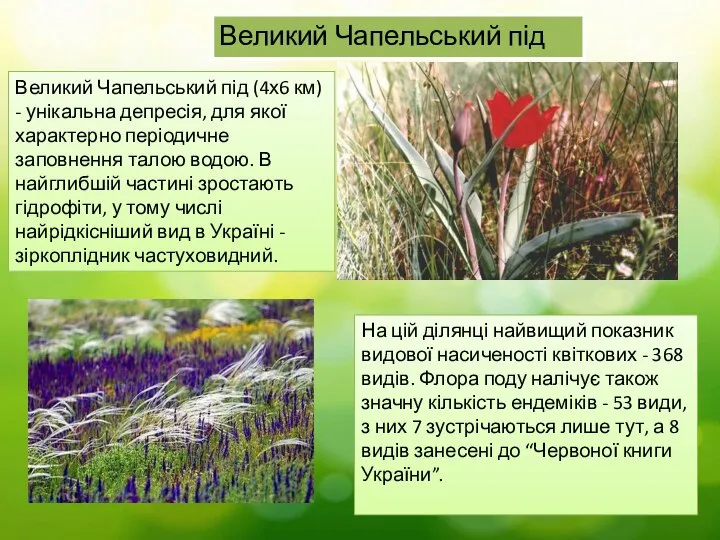 Великий Чапельський під Великий Чапельський під (4х6 км) - унікальна депресія,