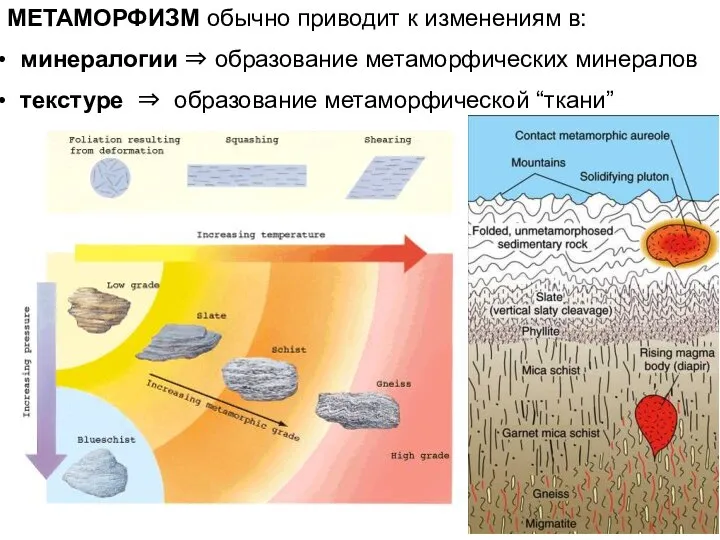 МЕТАМОРФИЗМ обычно приводит к изменениям в: минералогии ⇒ образование метаморфических минералов текстуре ⇒ образование метаморфической “ткани”