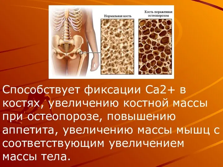 Способствует фиксации Ca2+ в костях, увеличению костной массы при остеопорозе, повышению