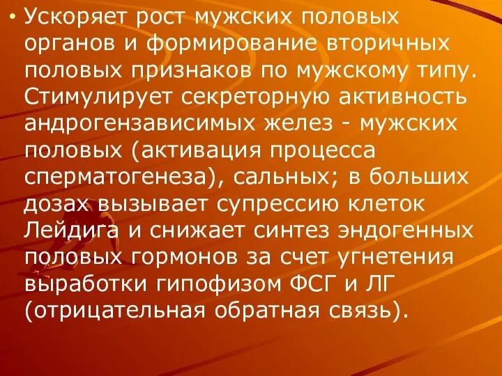 Ускоряет рост мужских половых органов и формирование вторичных половых признаков по