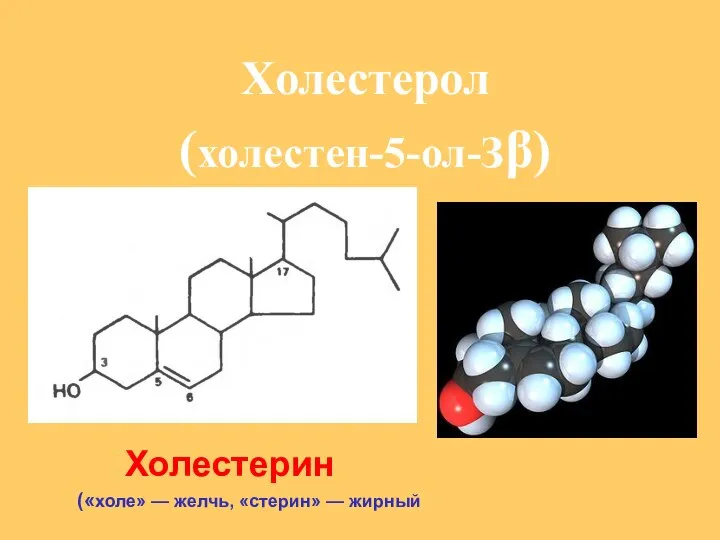 Холестерол (холестен-5-ол-Зβ) Холестерин («холе» — желчь, «стерин» — жирный