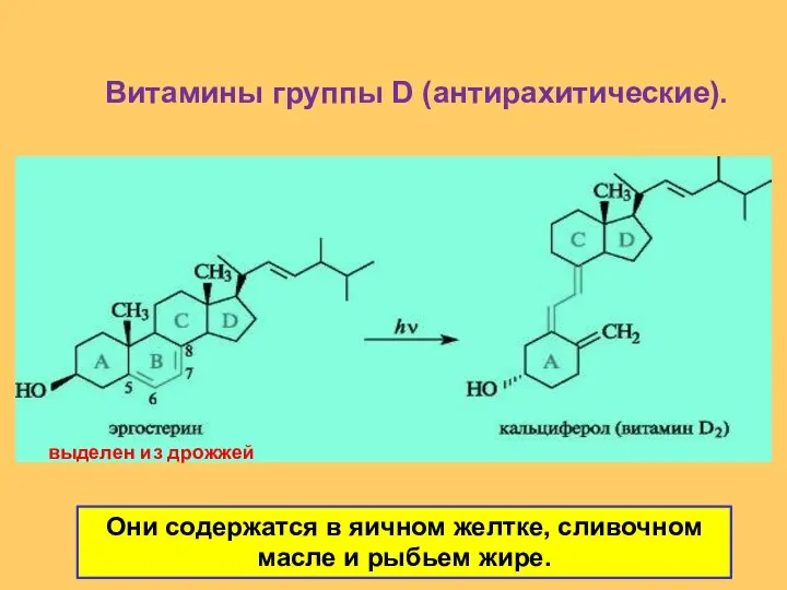 Витамины группы D (антирахитические). выделен из дрожжей Они содержатся в яичном