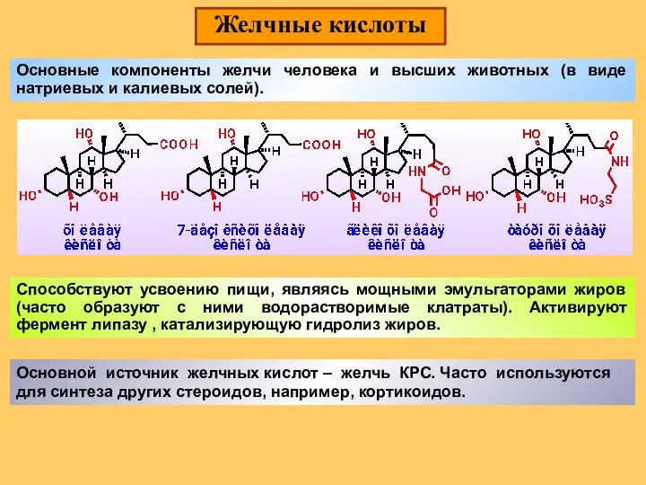 Желчные кислоты Основные компоненты желчи человека и высших животных (в виде