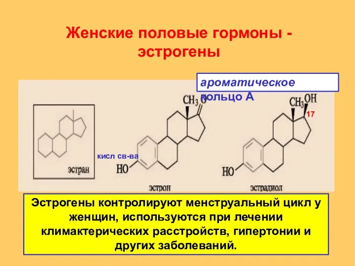 Женские половые гормоны - эстрогены Эстрогены контролируют менструальный цикл у женщин,