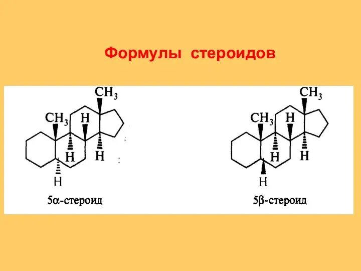 Формулы стероидов