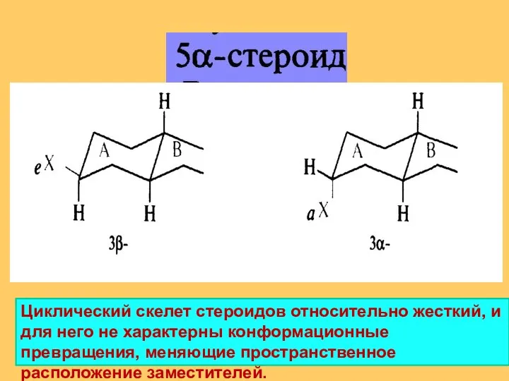 Циклический скелет стероидов относительно жесткий, и для него не характерны конформационные превращения, меняющие пространственное расположение заместителей.