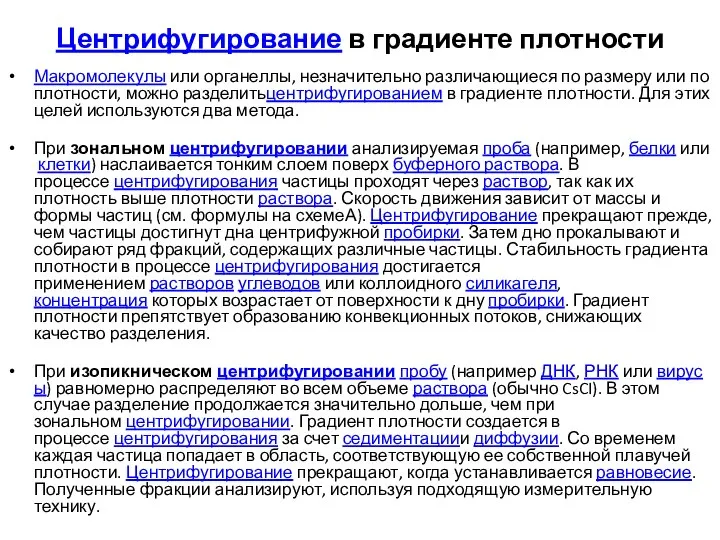 Центрифугирование в градиенте плотности Макромолекулы или органеллы, незначительно различающиеся по размеру