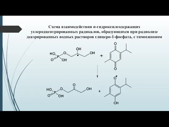 Схема взаимодействия α-гидроксилсодержащих углеродцентрированных радикалов, образующихся при радиолизе деаэрированных водных растворов глицеро-1-фосфата, с тимохиноном