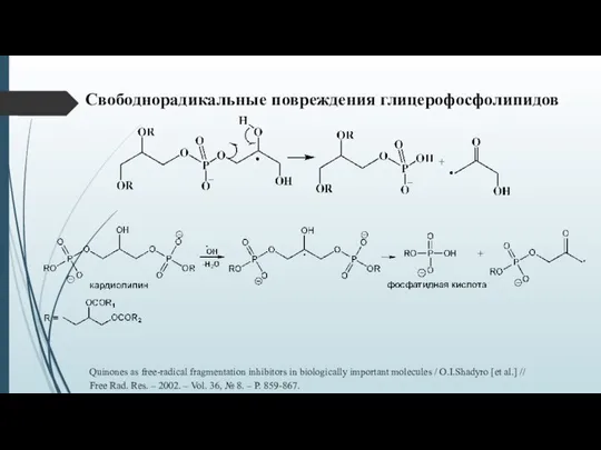 Свободнорадикальные повреждения глицерофосфолипидов Quinones as free-radical fragmentation inhibitors in biologically important