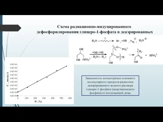Схема радиационно-индуцированного дефосфорилирования глицеро-1-фосфата в деаэрированных водных растворах: Зависимость концентрации основного