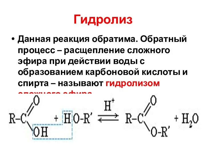 Гидролиз Данная реакция обратима. Обратный процесс – расщепление сложного эфира при