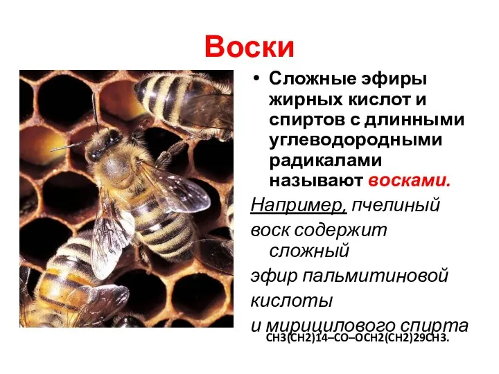 Воски Сложные эфиры жирных кислот и спиртов с длинными углеводородными радикалами