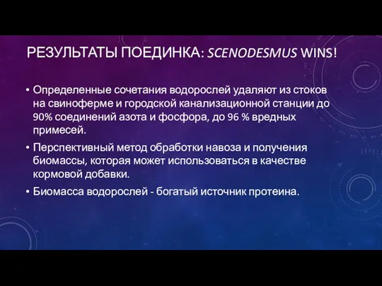 РЕЗУЛЬТАТЫ ПОЕДИНКА: SCENODESMUS WINS! Определенные сочетания водорослей удаляют из стоков на