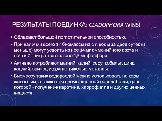 РЕЗУЛЬТАТЫ ПОЕДИНКА: CLADOPHORA WINS! Обладают большой поглотительной способностью. При наличии всего