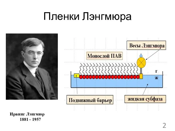 Пленки Лэнгмюра Ирвинг Лэнгмюр 1881 - 1957