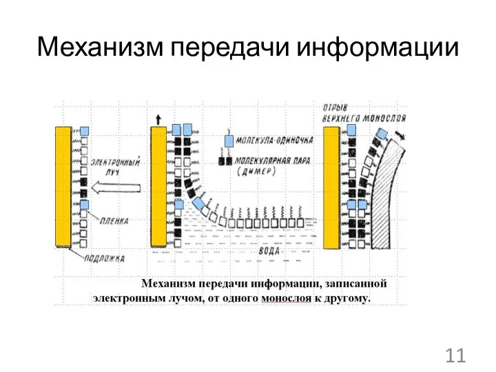 Механизм передачи информации