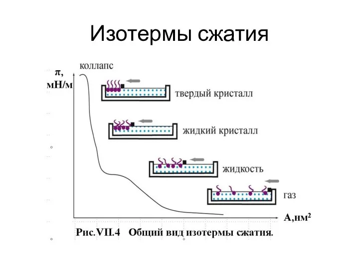 Изотермы сжатия