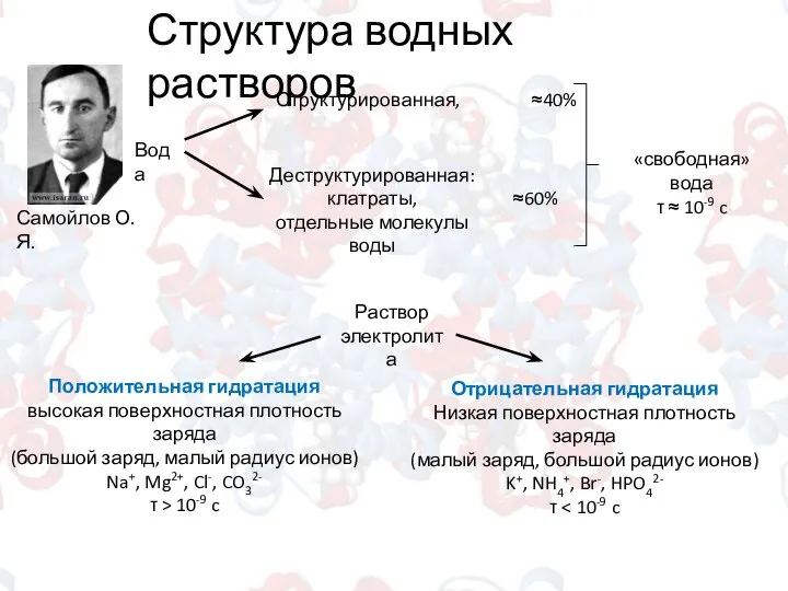 Структура водных растворов Самойлов О.Я. Вода Структурированная, ≈40% Деструктурированная: клатраты, отдельные