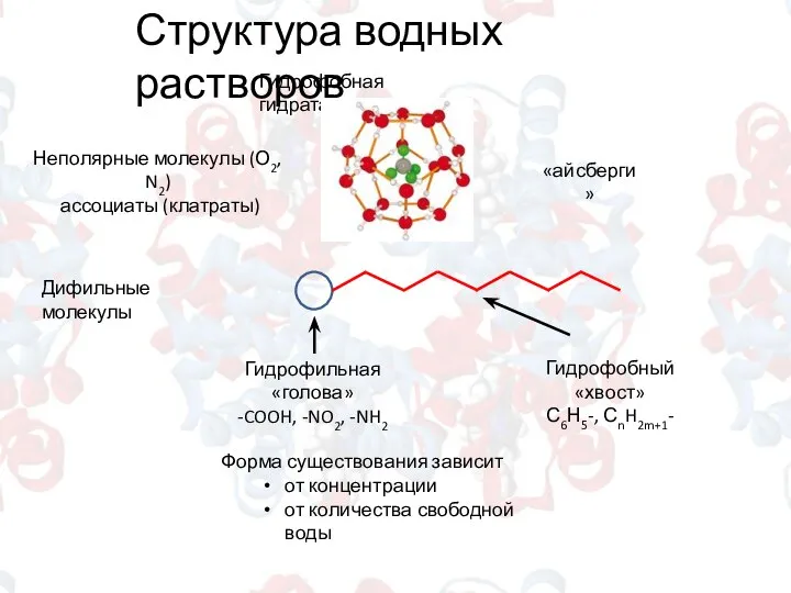Структура водных растворов Гидрофобная гидратация Неполярные молекулы (О2, N2) ассоциаты (клатраты)