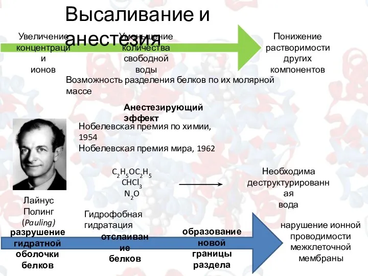 Высаливание и анестезия Увеличение концентрации ионов Уменьшение количества свободной воды Понижение