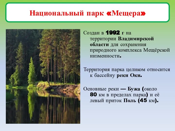 Национальный парк «Мещера» Создан в 1992 г на территории Владимирской области