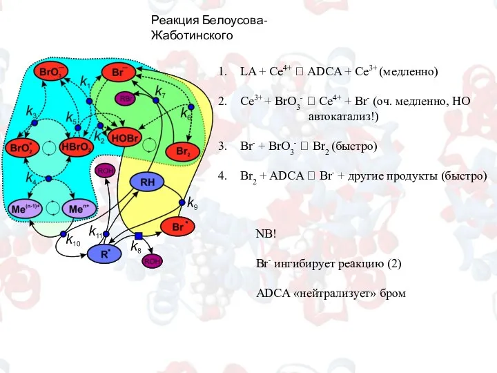 Реакция Белоусова-Жаботинского LA + Ce4+ ? ADCA + Ce3+ (медленно) Сe3+