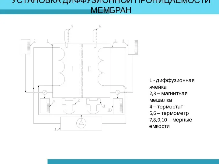 УСТАНОВКА ДИФФУЗИОННОЙ ПРОНИЦАЕМОСТИ МЕМБРАН 1 - диффузионная ячейка 2,3 – магнитная