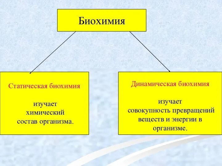 Биохимия Статическая биохимия изучает химический состав организма. Динамическая биохимия изучает совокупность