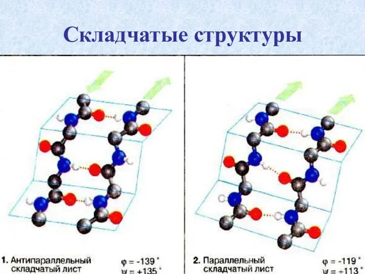 Складчатые структуры