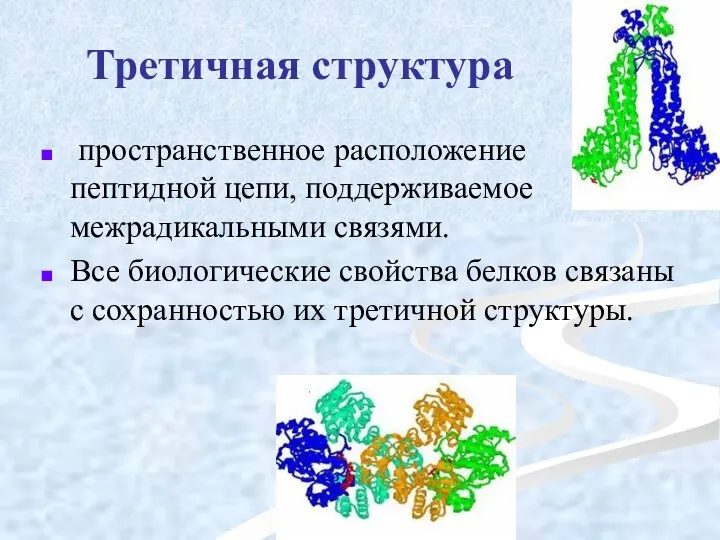 Третичная структура пространственное расположение пептидной цепи, поддерживаемое межрадикальными связями. Все биологические