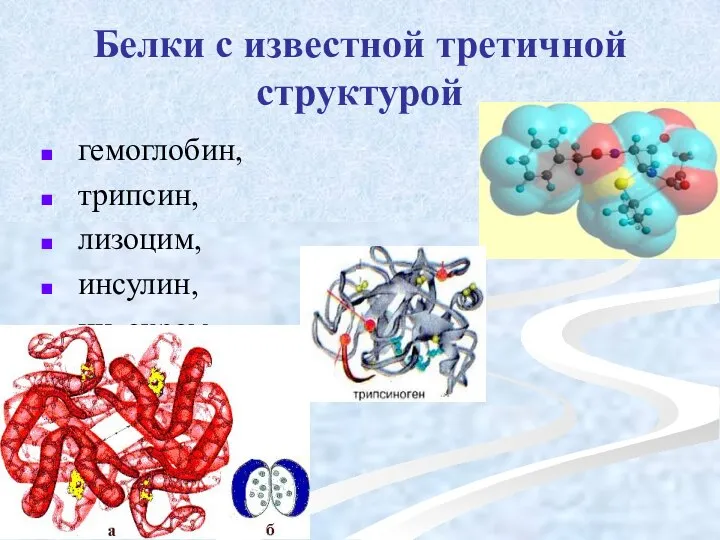 Белки с известной третичной структурой гемоглобин, трипсин, лизоцим, инсулин, цитохром.