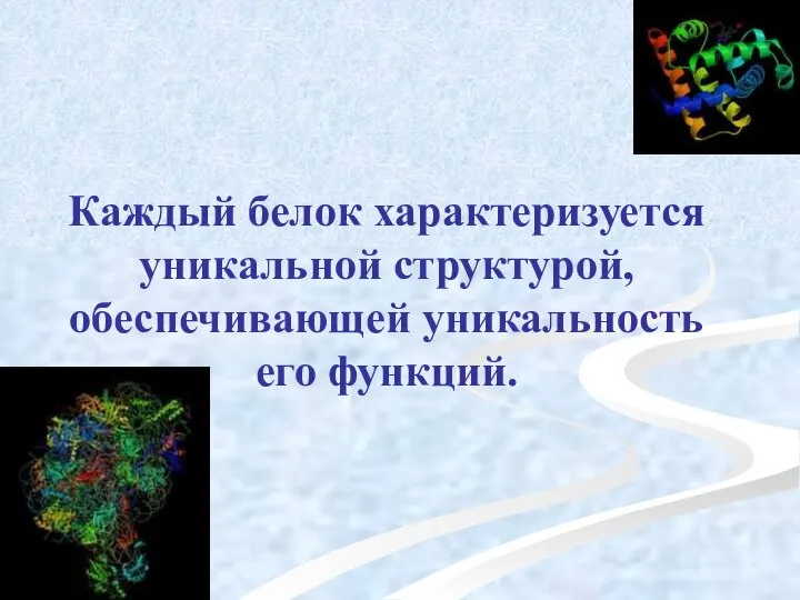 Каждый белок характеризуется уникальной структурой, обеспечивающей уникальность его функций.